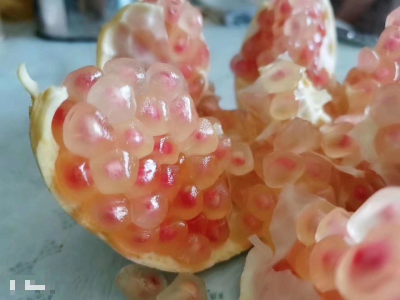 蒙自石榴