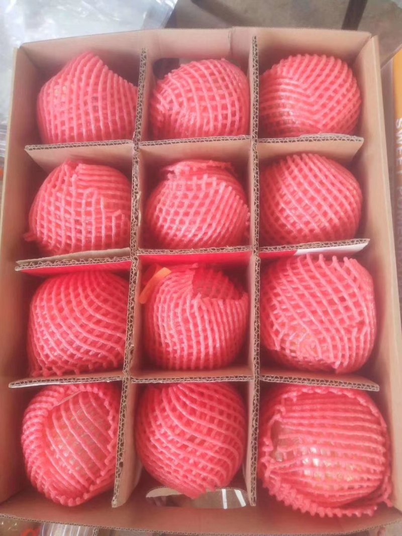 蒙自石榴