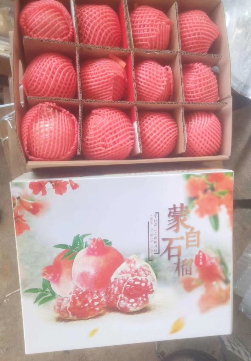 蒙自石榴