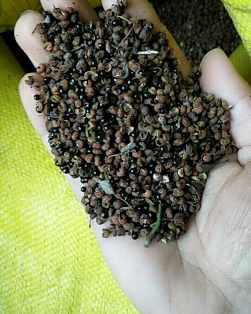 野花椒