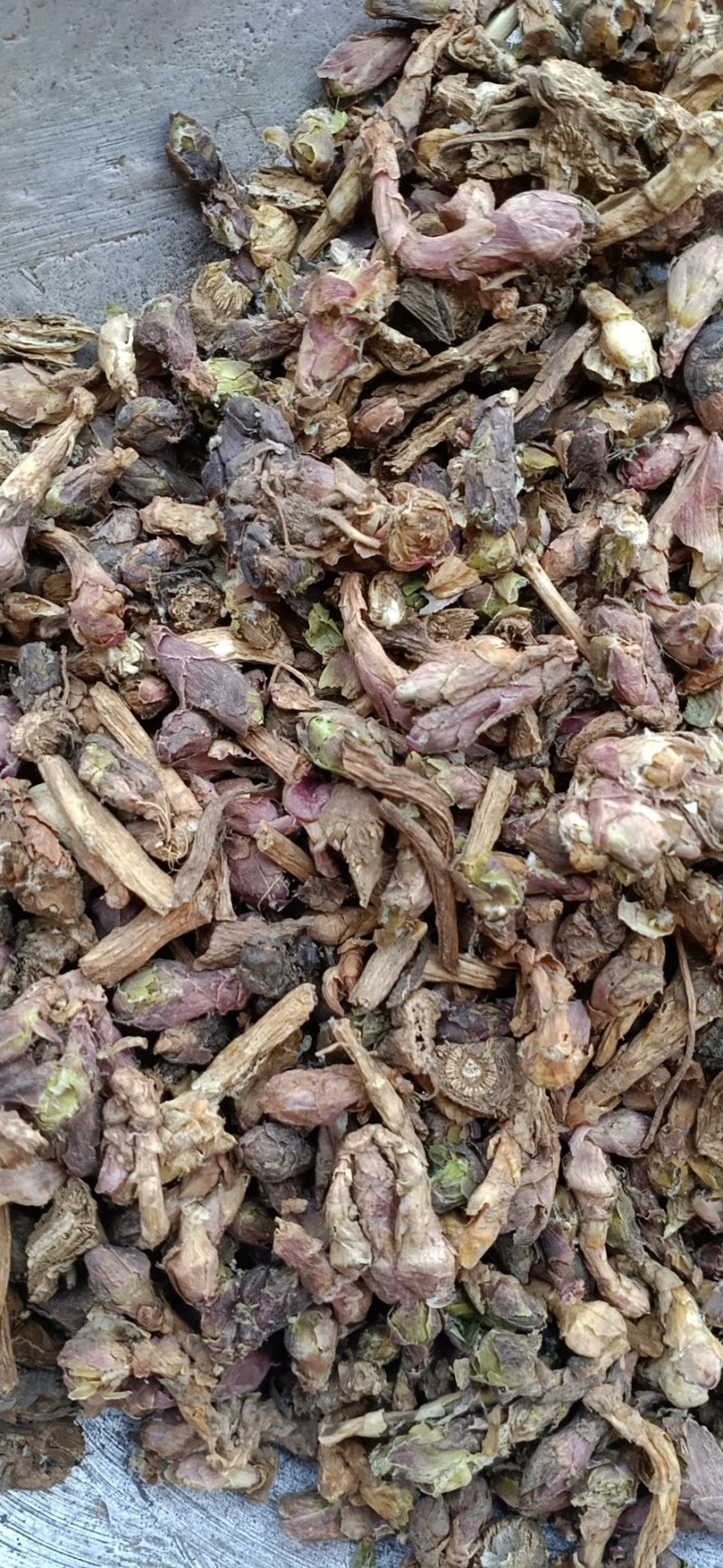 冬花款冬一手货源长期供应另经营其他药材千余种