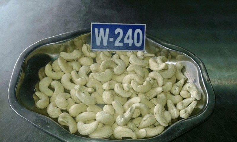 腰果预售(10月初到货)
