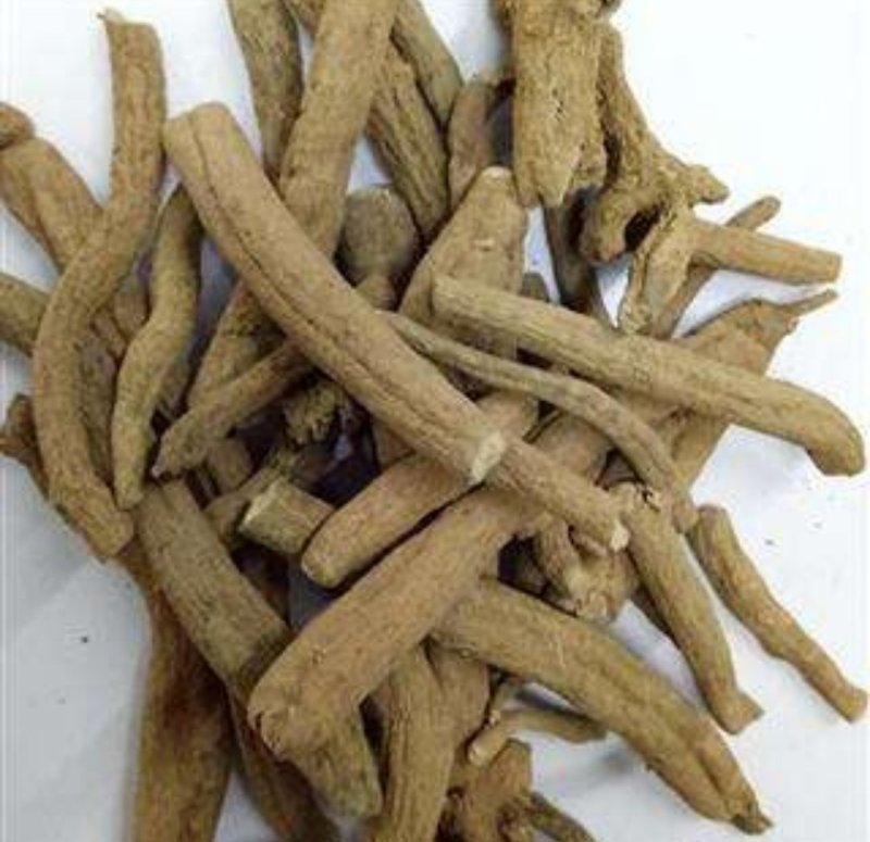 紫金龙，道地药材，质优价实，品质保证，药典标准一公斤起批