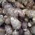 安丘市精品鲜芋头8520大量上市。产地直供，一手货源。