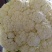 青梗松花菜，质优价廉