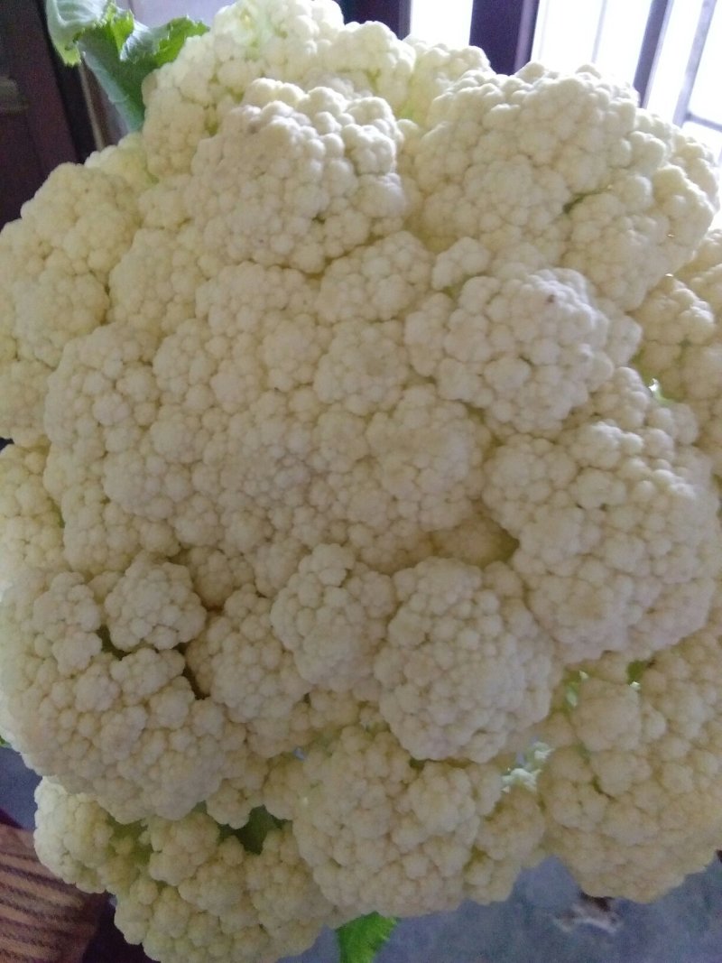 青梗松花菜，质优价廉