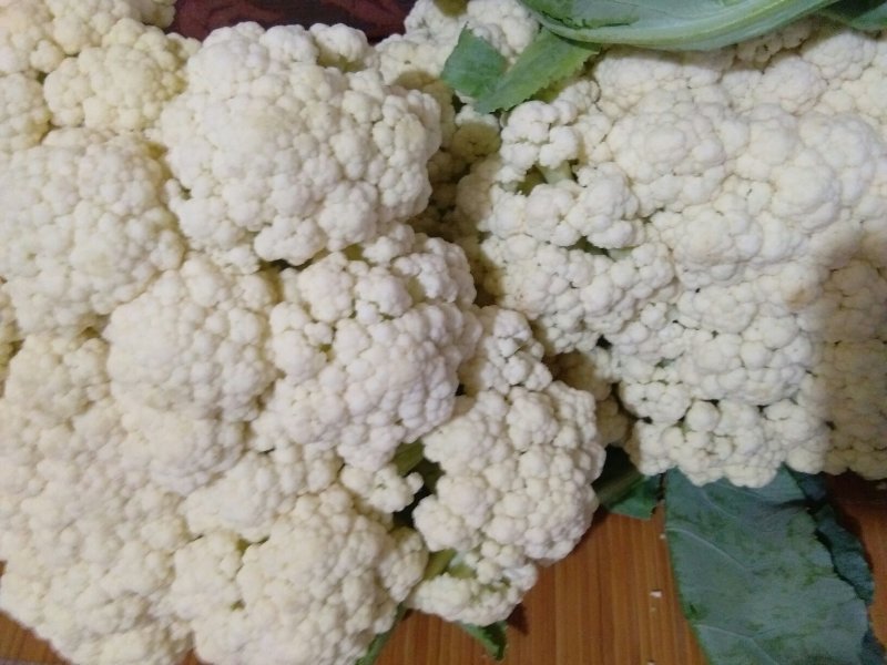 青梗松花菜，质优价廉