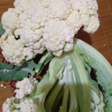 青梗松花菜，质优价廉