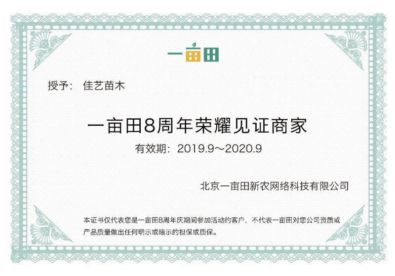 梨枣，嫁接枣树苗包品种包成活，全程提技术指导南北方种植