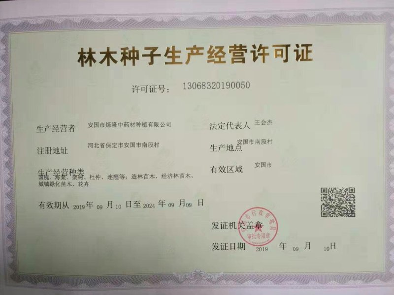 白术种子大量有货厂家直供价格实惠包成活包回收提供技术指