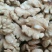 核桃仁，头路尖白，本山西好核桃仁，