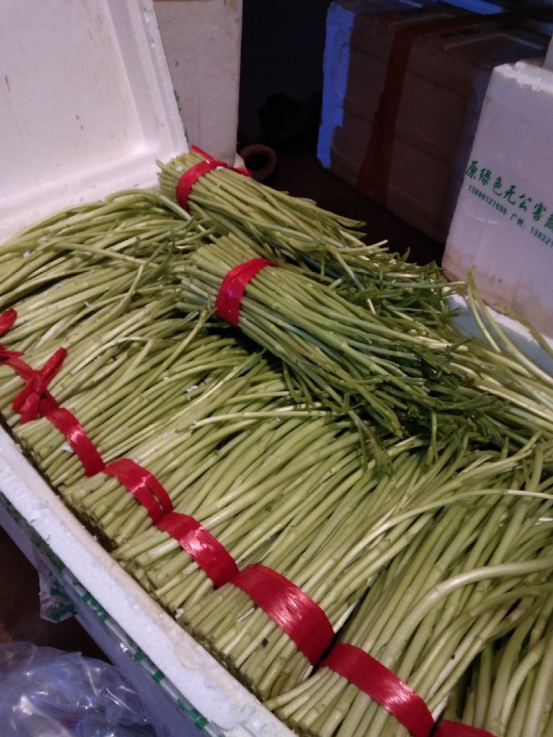 藜蒿，芦蒿，湖北藜蒿，湖北芦蒿，产地直供，一手货源，保质