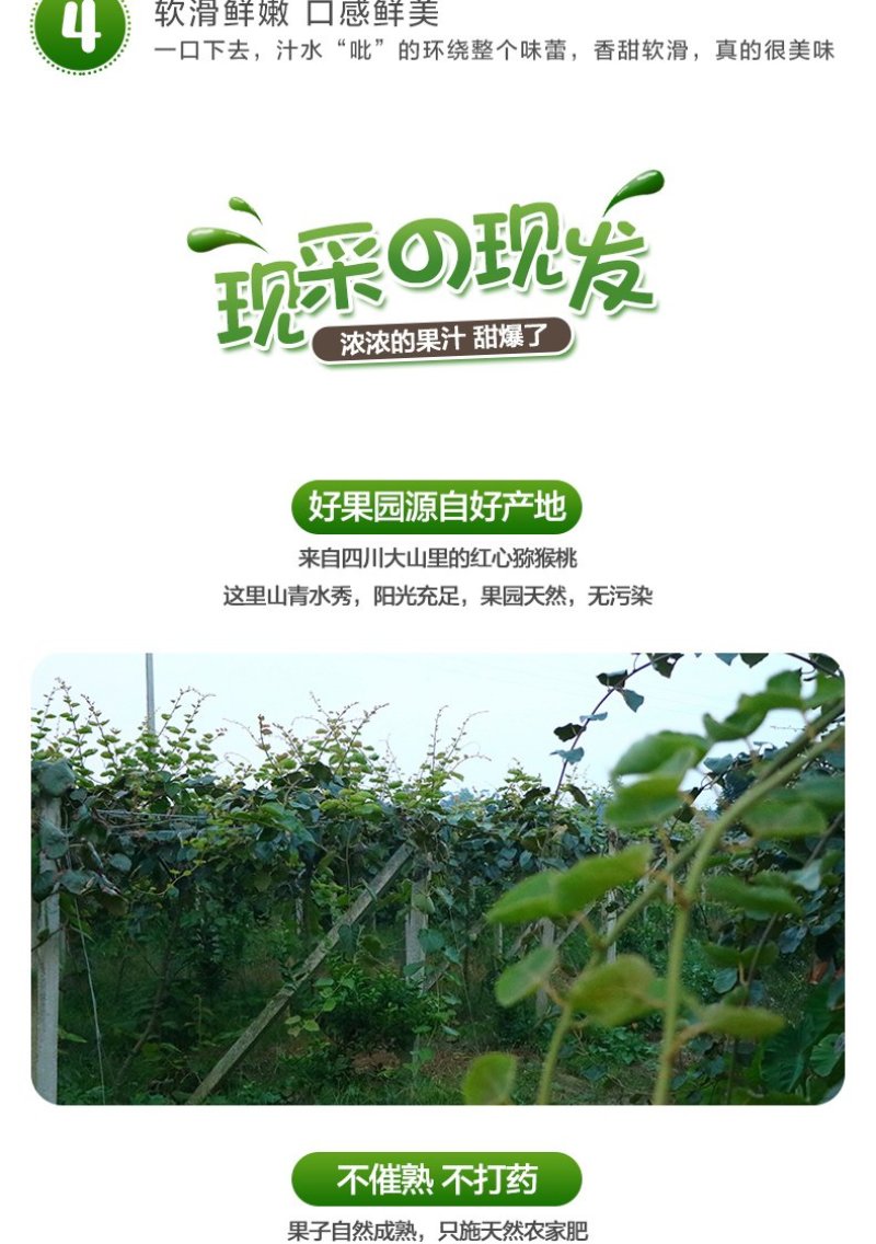 苍溪红心猕猴桃特惠基地包邮对接电商平台支持一件代发