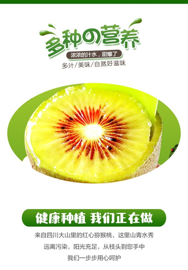 苍溪红心猕猴桃特惠基地包邮对接电商平台支持一件代发