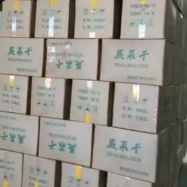 10kg一箱精品特优质蕨菜干特产出口日本韩国级特价包邮批