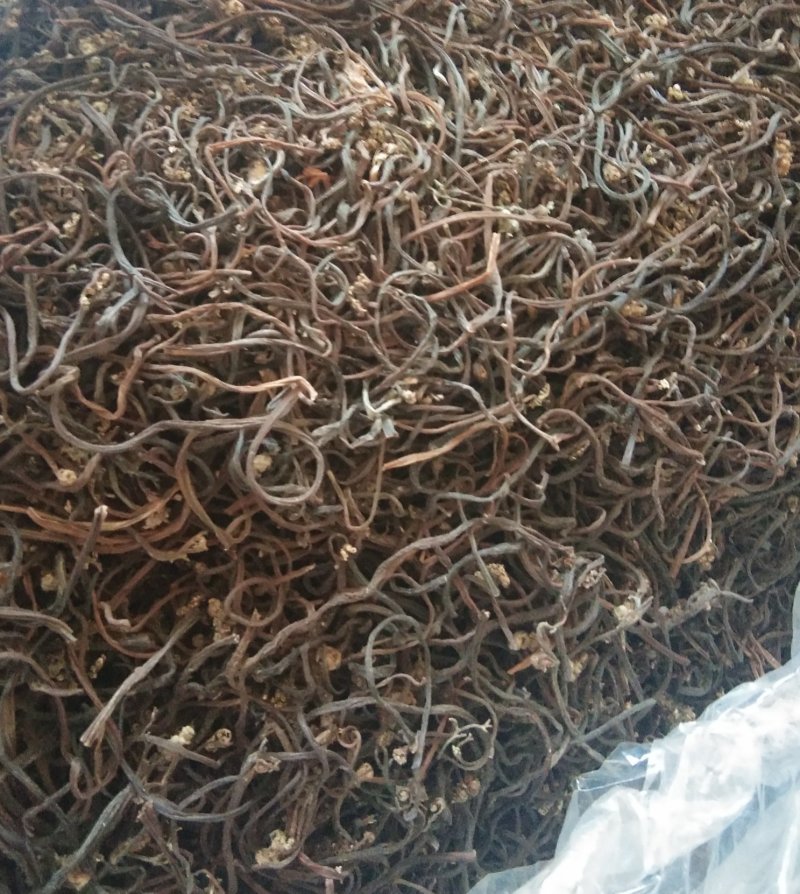 10kg一箱精品特优质蕨菜干特产出口日本韩国级特价包邮批
