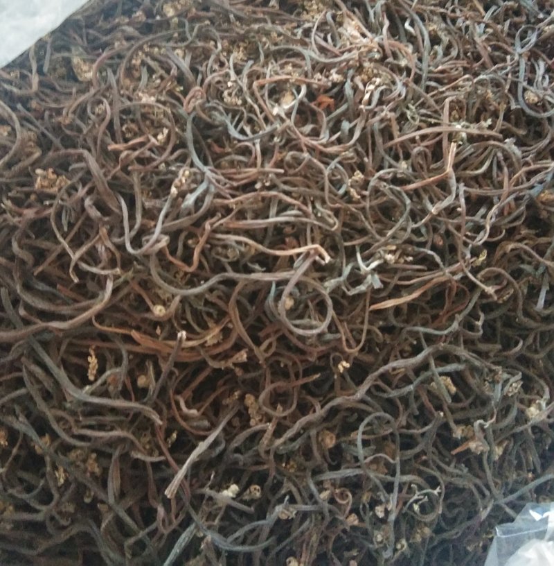 10kg一箱精品特优质蕨菜干特产出口日本韩国级特价包邮批