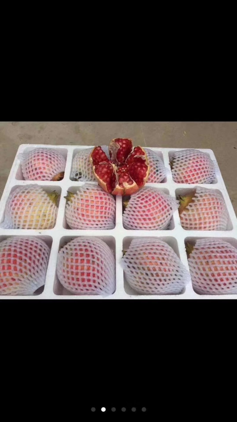 正宗河阴软籽石榴，量大优惠