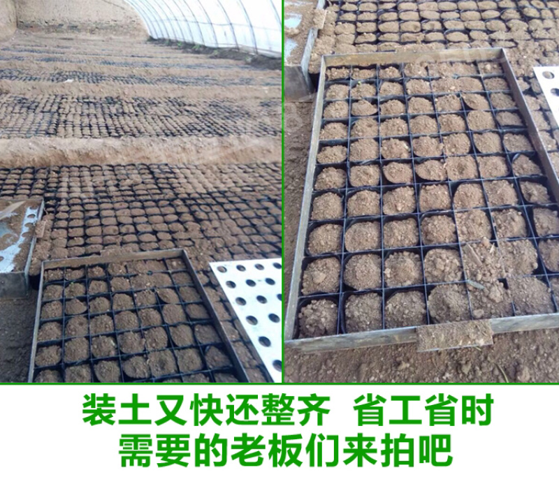 营养钵装土神器育苗杯快速装土器装土工具