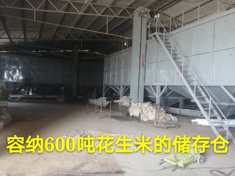 2019年新冷榨鲜纯花生仁油—代加工接订单