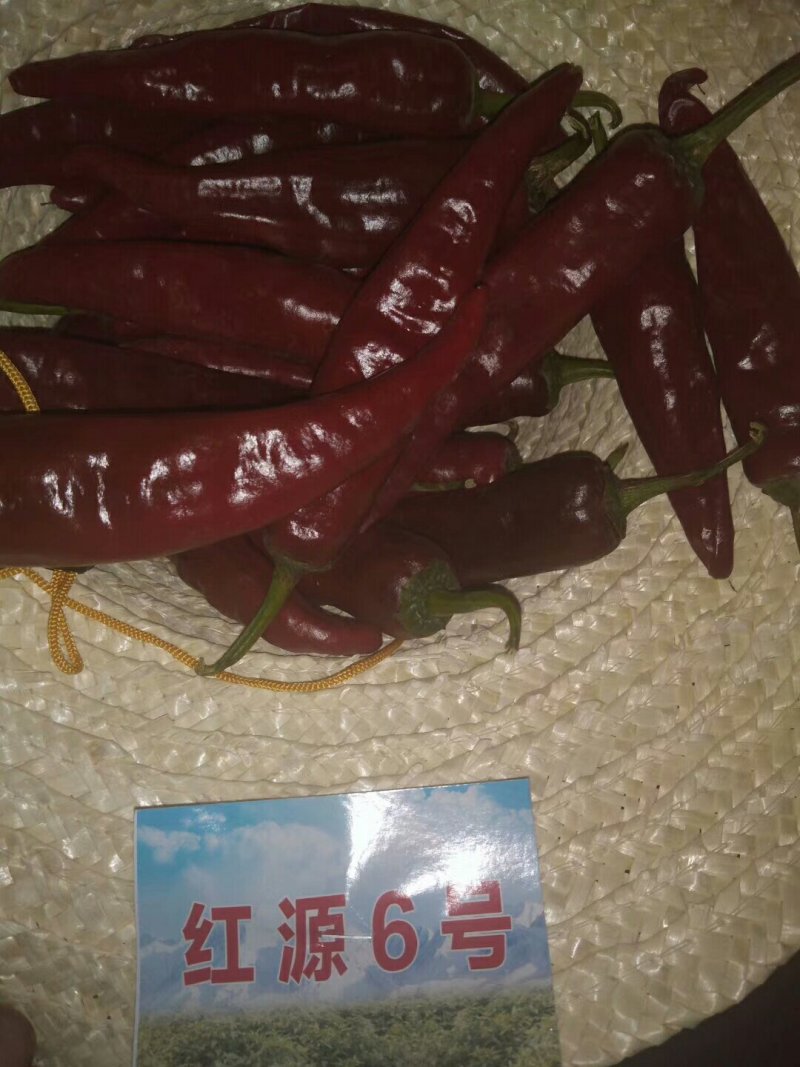 干辣椒，色素辣椒