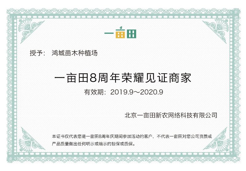 五月脆李子苗蜂糖李子苗粗度0.7～3公分
