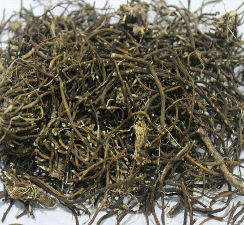 威灵仙千余品种供应承接订单