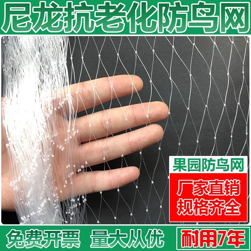 果园防鸟网稻谷蔬菜鱼塘养殖鸟网