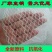 果园防鸟网稻谷蔬菜鱼塘养殖鸟网