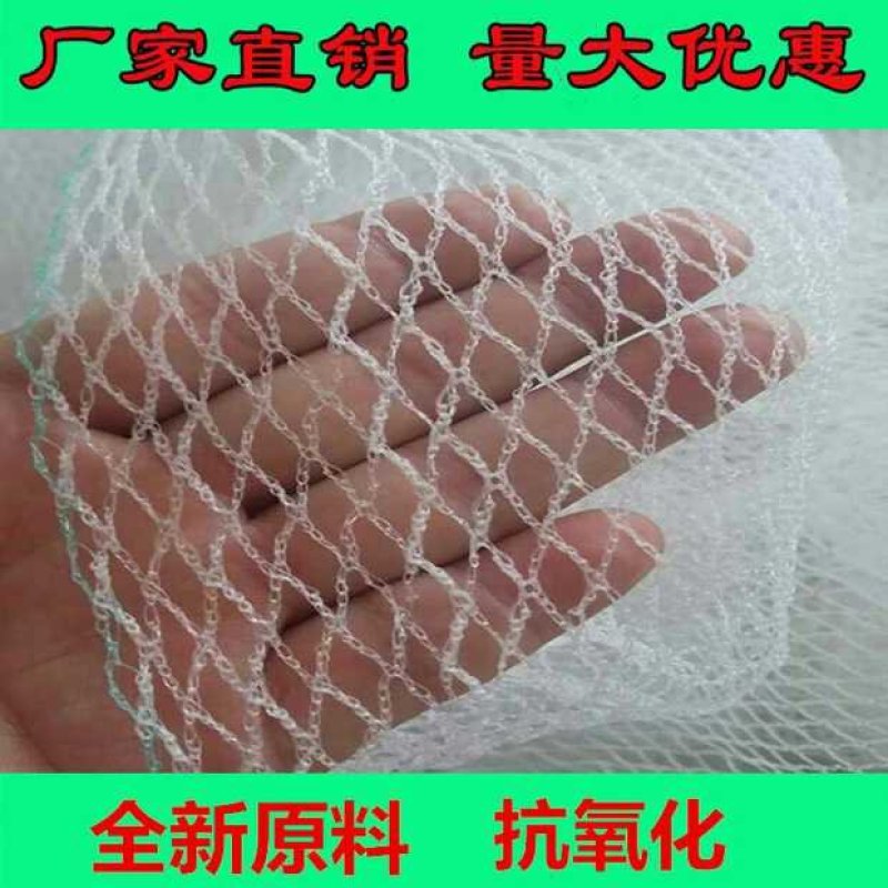 果园防鸟网稻谷蔬菜鱼塘养殖鸟网