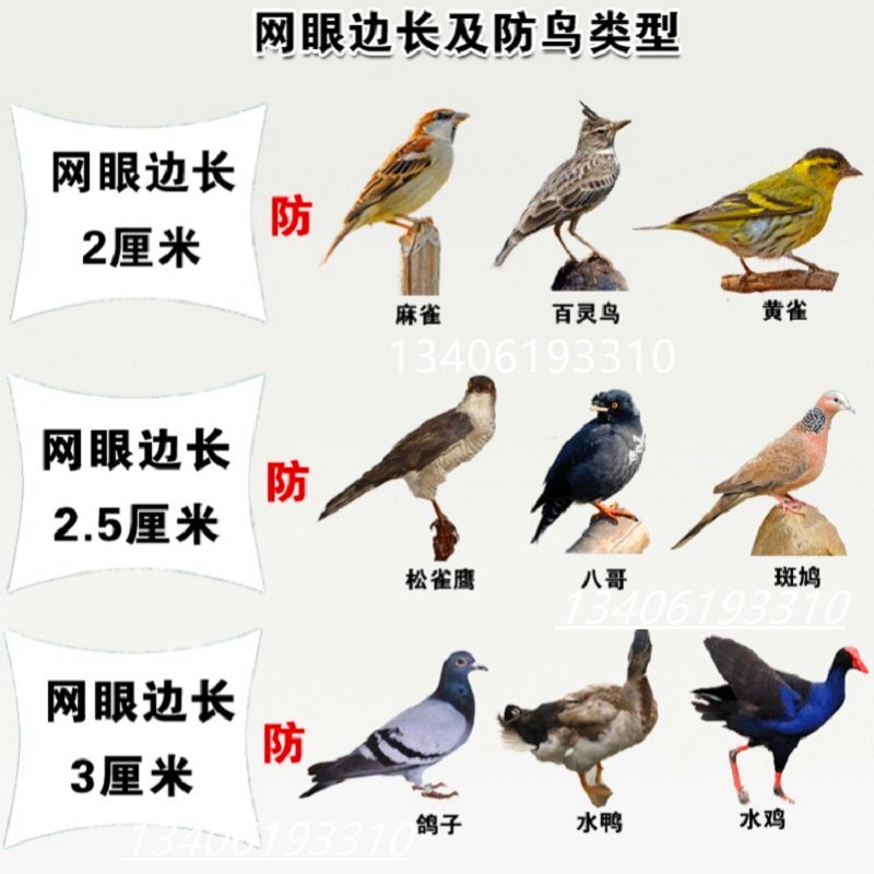 果园防鸟网稻谷蔬菜鱼塘养殖鸟网