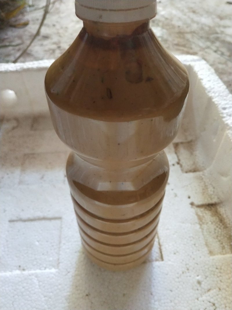 生漆，天然漆树脂！漆木材好原料！生漆产地批发