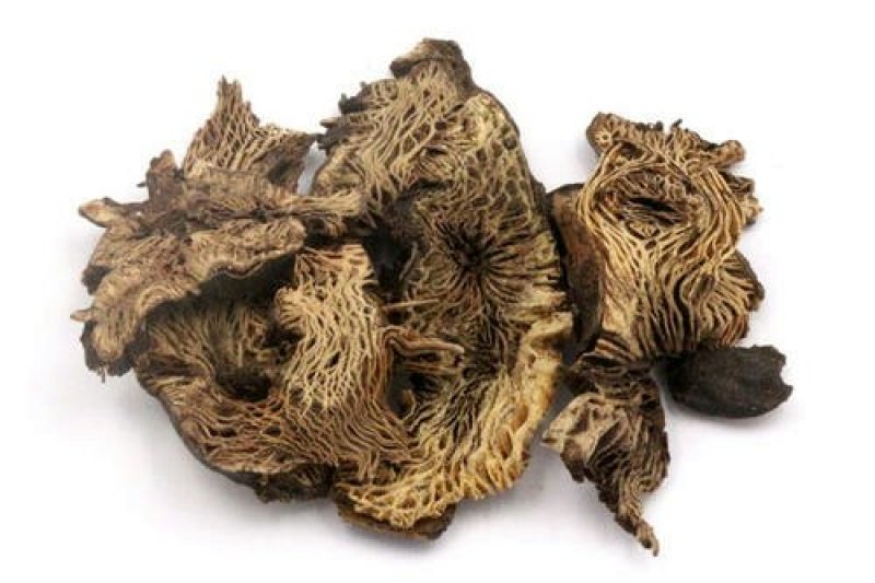 升麻千余品种供应承接订单