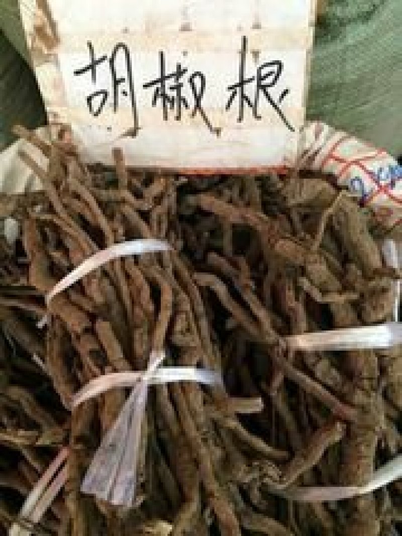 胡椒根千余品种供应承接订单