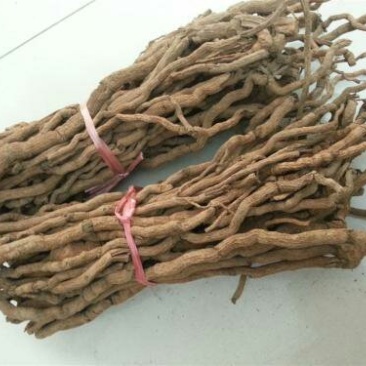 胡椒根千余品种供应承接订单
