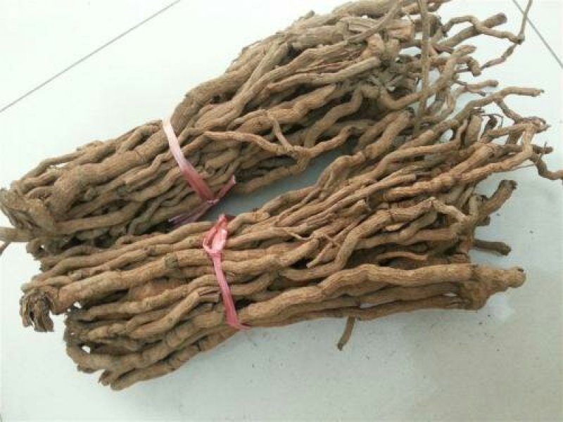 胡椒根千余品种供应承接订单