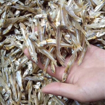 深海天然小鱼干深海小鱼干小鱼干拿货送广告布，录音