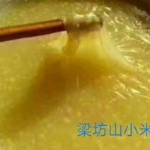 养生黄金小米