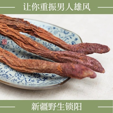 新疆锁阳野生精选金锁阳配肉苁蓉淫羊藿泡茶泡酒切锁