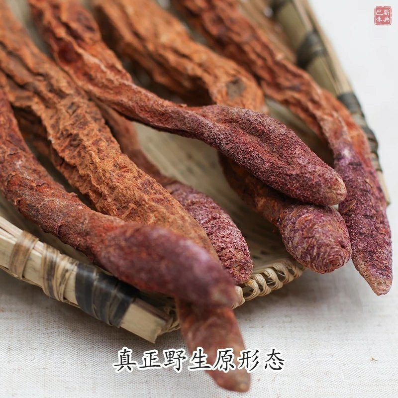 新疆锁阳野生精选金锁阳配肉苁蓉淫羊藿泡茶泡酒切锁