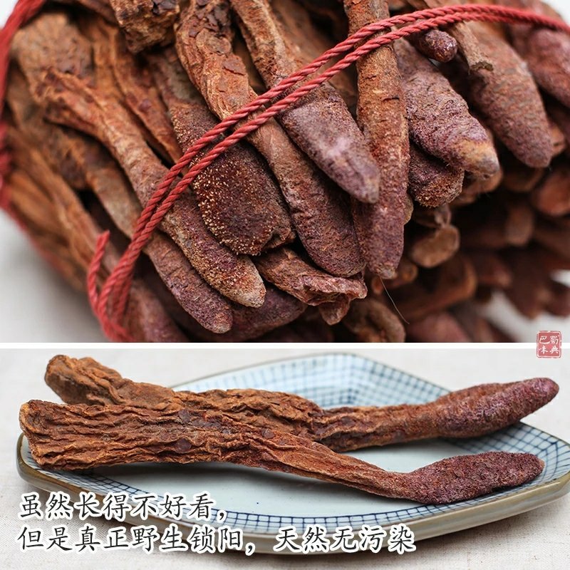 新疆锁阳野生精选金锁阳配肉苁蓉淫羊藿泡茶泡酒切锁