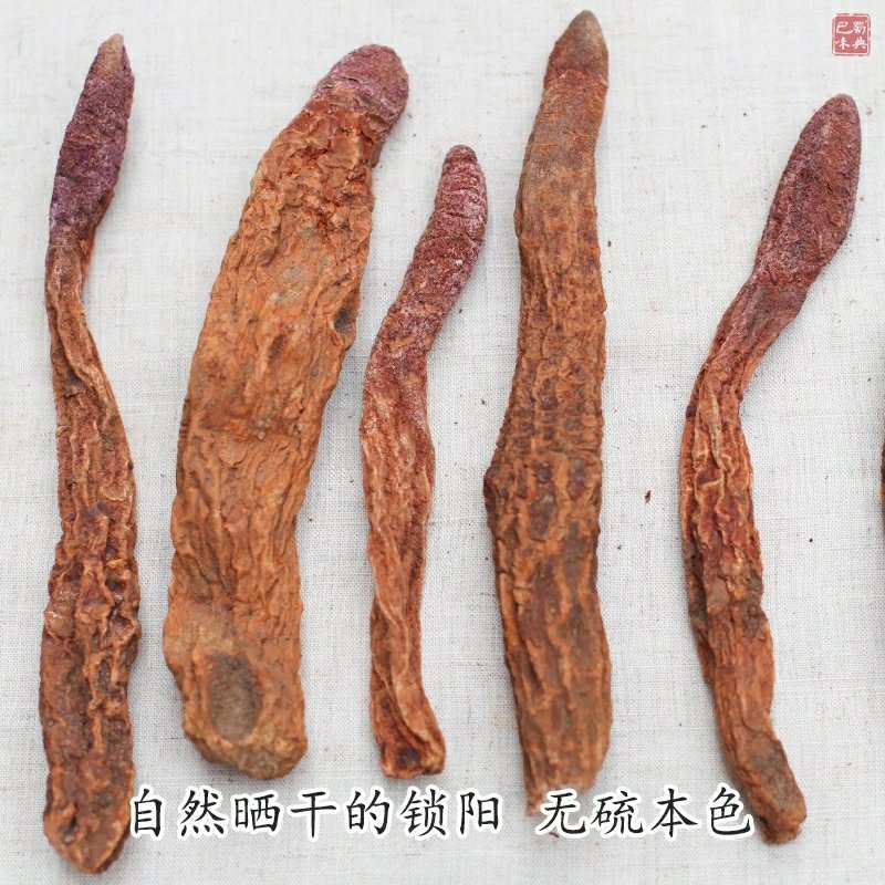 新疆锁阳野生精选金锁阳配肉苁蓉淫羊藿泡茶泡酒切锁