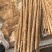 河北保定沙土地麻山药鲜货面甜，棒药，紫药大量供应