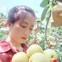赵县皇冠梨箱货规格全价格优耐运输个头均匀