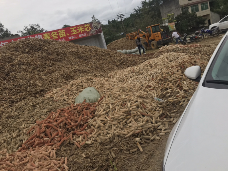 玉米芯