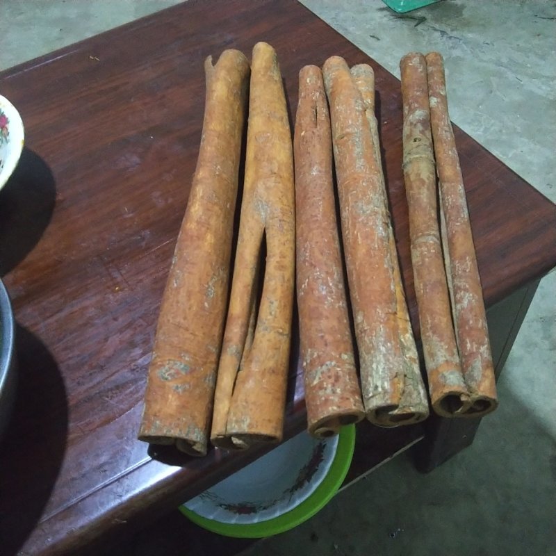 云南桂皮