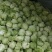 夏阳白菜，2020年白菜上市，现出现装，
