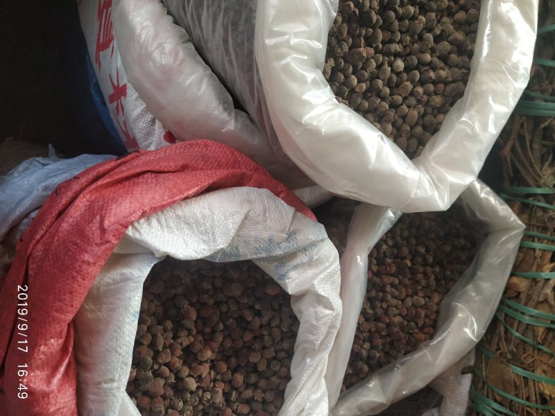 稔子干