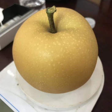 秋月梨