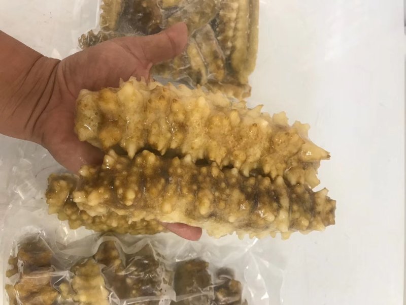 熟冻即食天然南海黄玉参